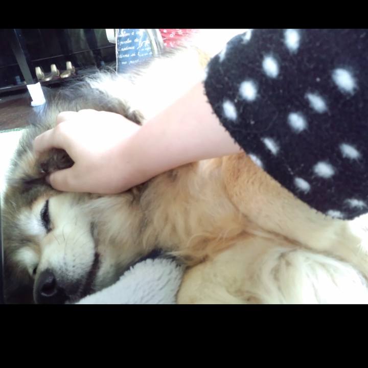 6b72459b 1cc3 43a8 b319 692bdf891eb5 1585505117319