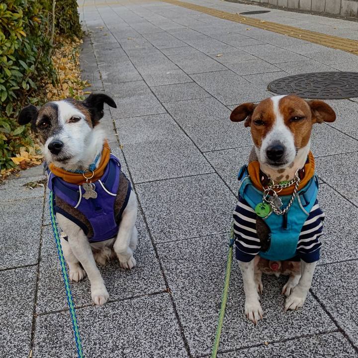 6b7274a7 a7a5 4a51 ac54 cf61b469be76 1640744429969