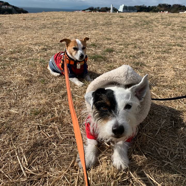 6b72bc1b 6140 472e 9ccb bb5784155bab 1642557247265