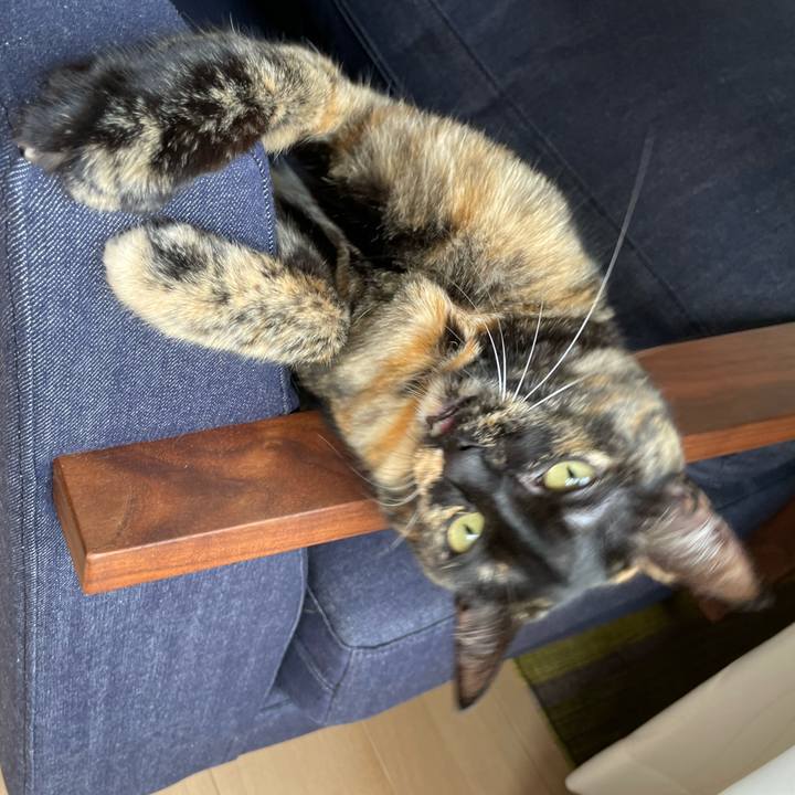 6b72bc73 722f 45da 9cd0 58fd2a1be450 1663375304423