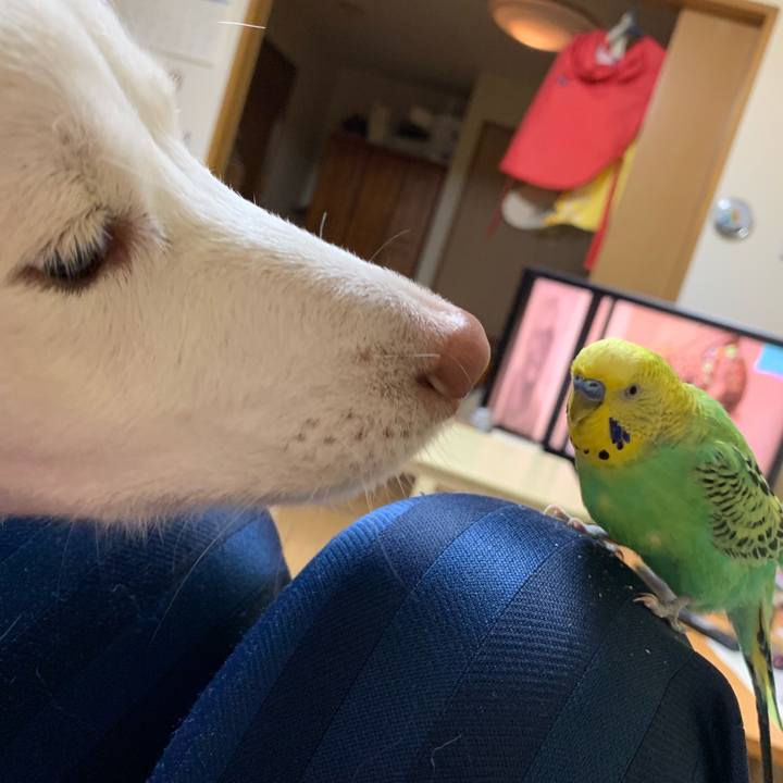 6b72cdc3 b65a 4ce6 8869 9dbcadcbcbb1 1546093374464