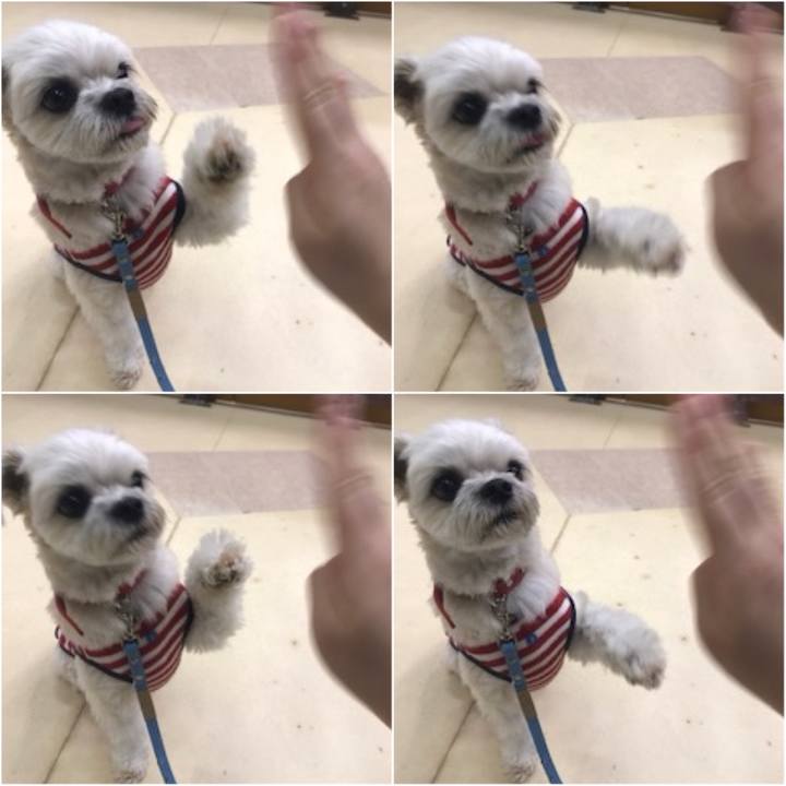 6b72d204 bf16 42fe 96c9 137ca8ba8303 1574770001714