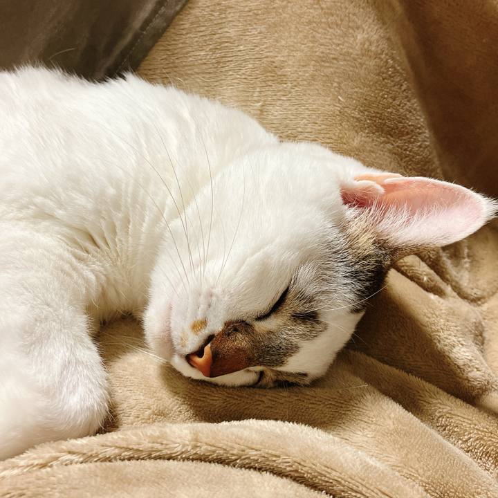 6b72f32f 9425 4ad4 b56d aa974d696274 1708603235766