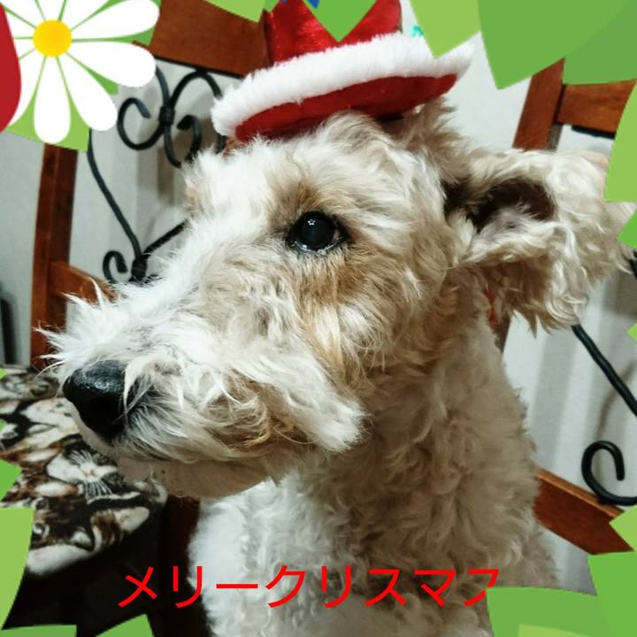 6b72f4d3 587e 4b31 9863 42d6f51358ac 1545651273022