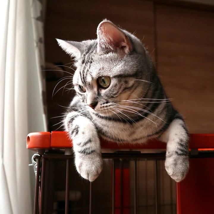 6b734f86 2db6 4cc1 af95 d9724e512e78 1594518917760