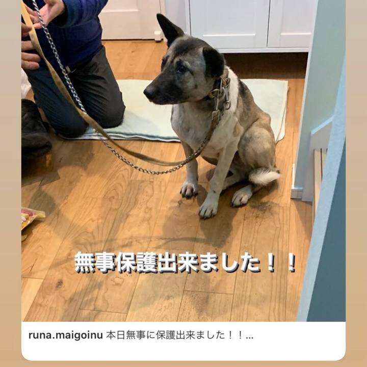 6b73608b 0053 48d9 a5e8 45363063d6de 1609546504896