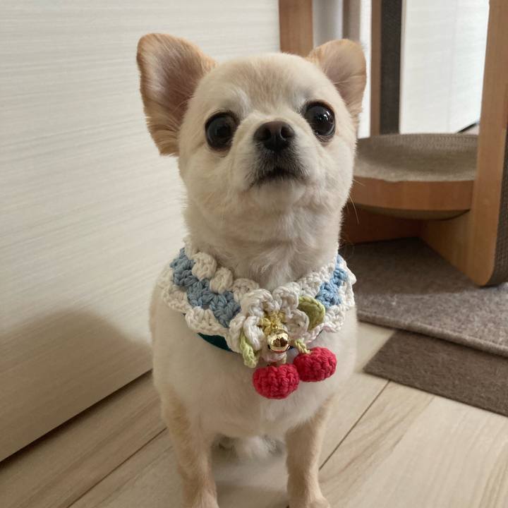 6b736ae8 d364 4020 abe3 0fbd9fd307a1 1658690934709