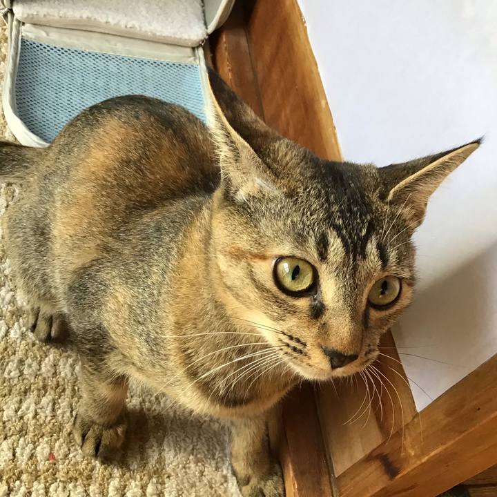 6b73827c a4e7 45c2 a533 39effc8d8eab 1575002313976