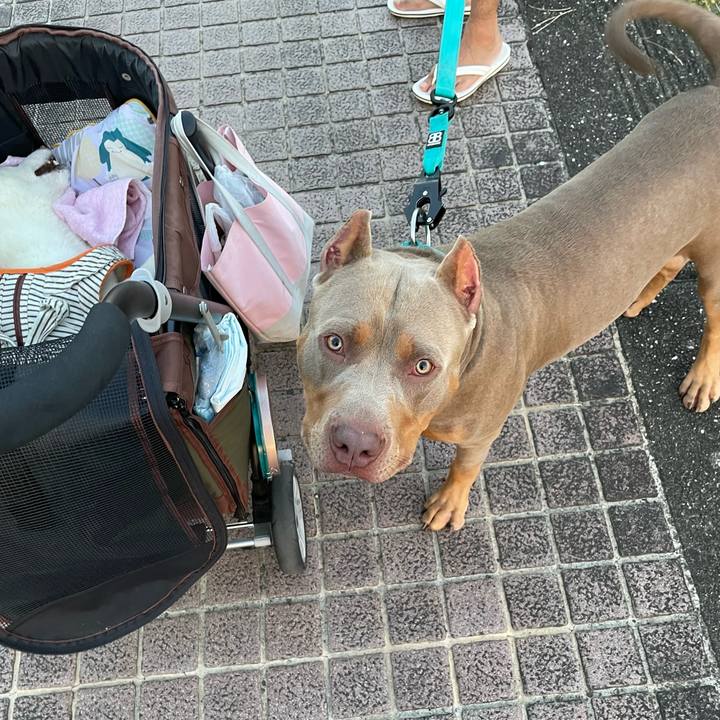 6b73b23a 27b4 4ea6 b33f f6e15e09a9a4 1661515385879