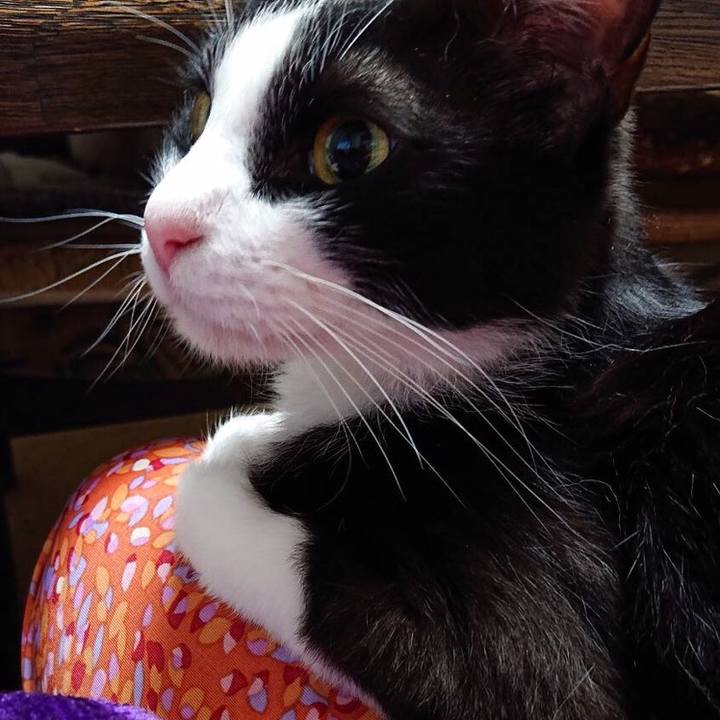 6b73be3a fbbe 4dd0 a161 20f7aa8f1f70 1560096075821