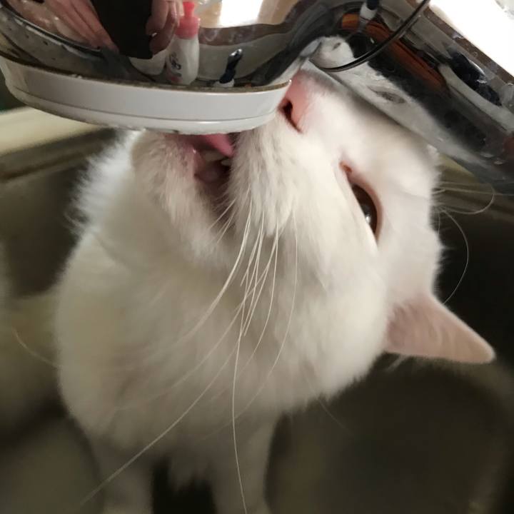 6b73c839 2dca 409d 9ee3 b95149eecea8 1543061847398