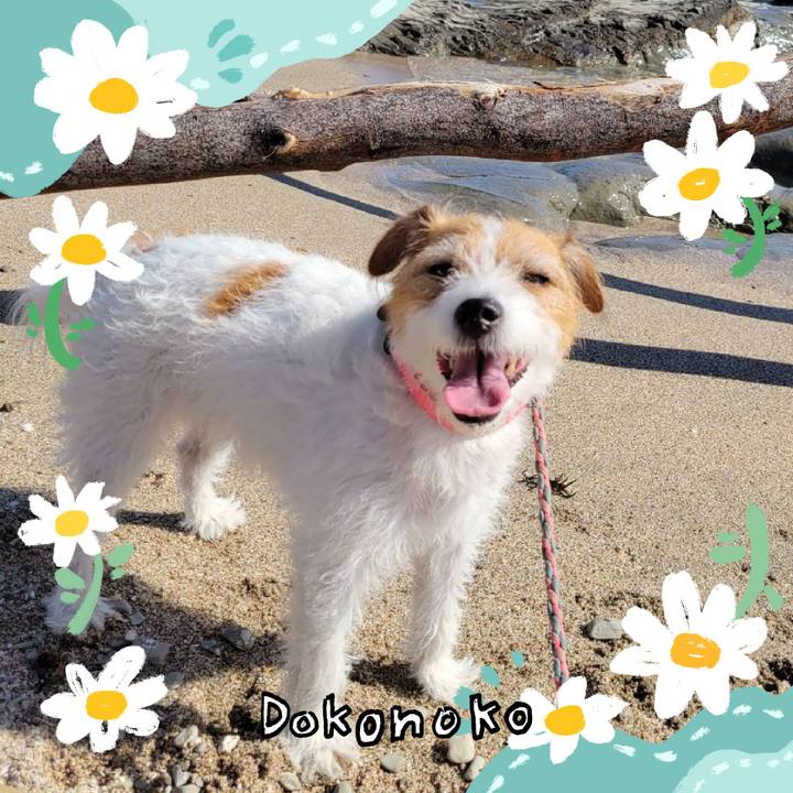 6b741994 b6d5 4f88 9c42 bfd5854a058b 1712294155286