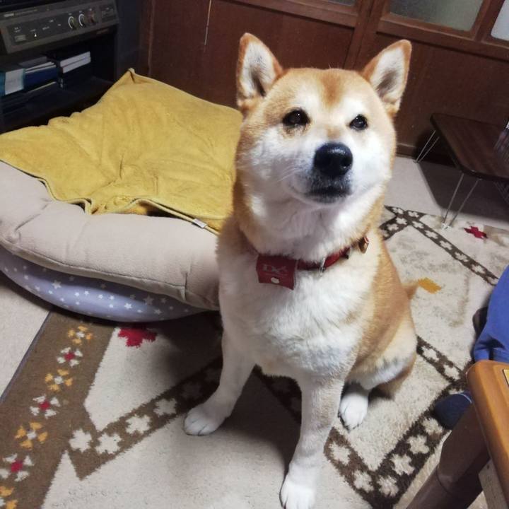 6b744a8b a740 4e91 b81f a98225b3b35b 1621064524077