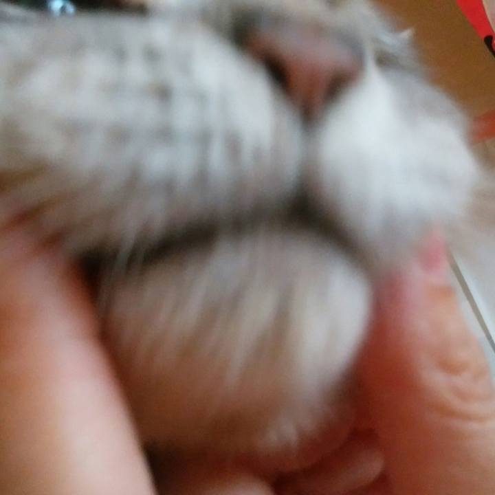 6b744f6e 8040 4fe8 b282 dbda6baa34c3 1595211959991