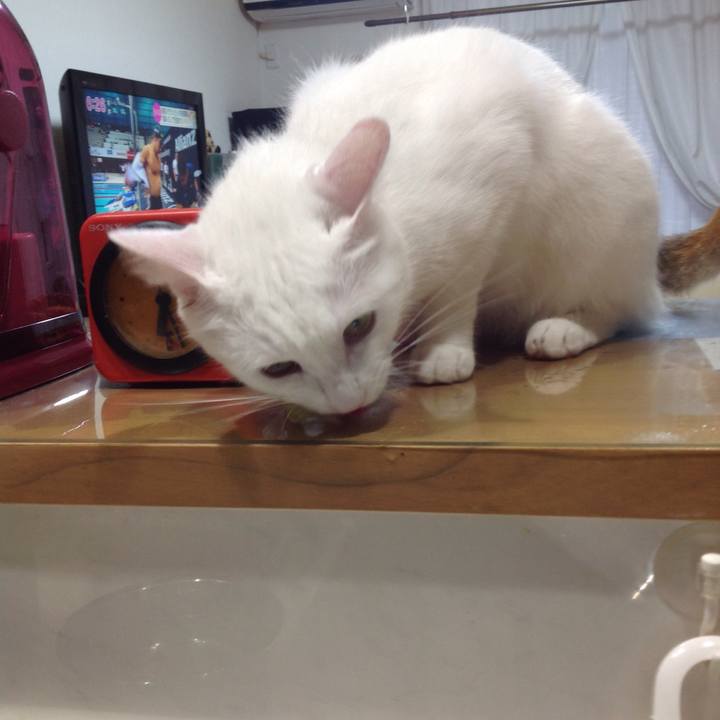 6b748049 c162 4330 833e 74cb6718631b 1629065784360