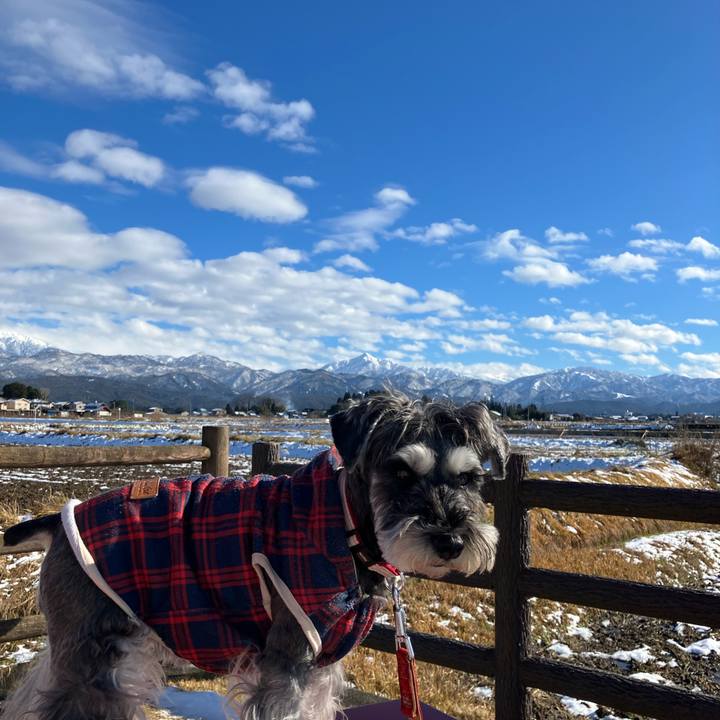 6b74a776 8c37 493c b682 54c0fedfeeb4 1737280407303