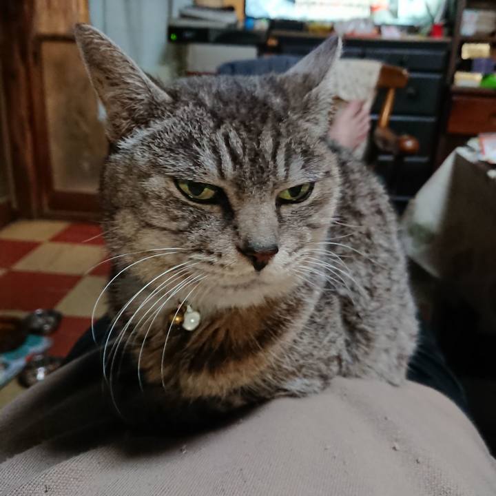 6b74c199 eafe 450e 8a64 c1de8337f74e 1573903119490