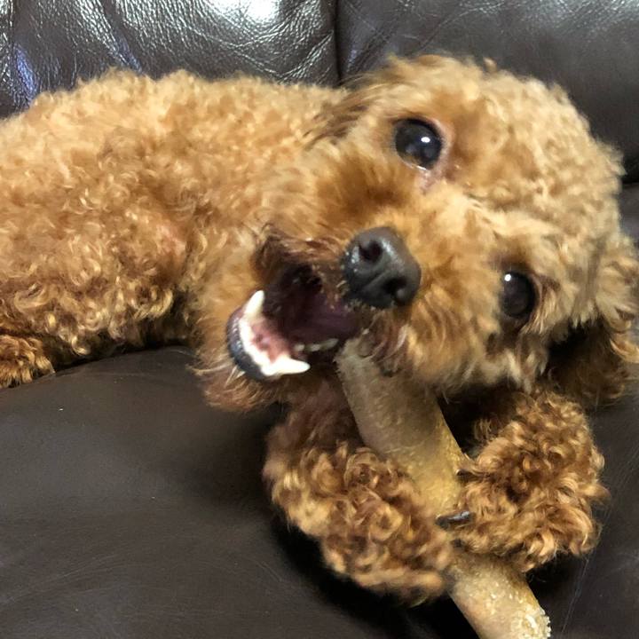 6b74c1eb 2664 4a37 9fd1 b98a979449cf 1529879363076