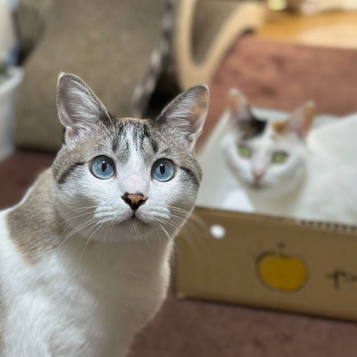 6b74d7cc c740 4fcf 9f36 4f42e0a8b712 1727478776996