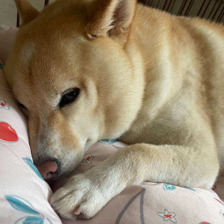 6b74f2c8 3917 4489 97c6 27b84a635d6c 1693695888567