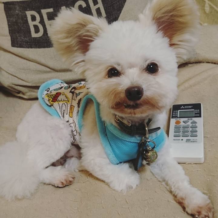 6b7500b1 842b 495a ab0e c75ac0187df5 1533790734077