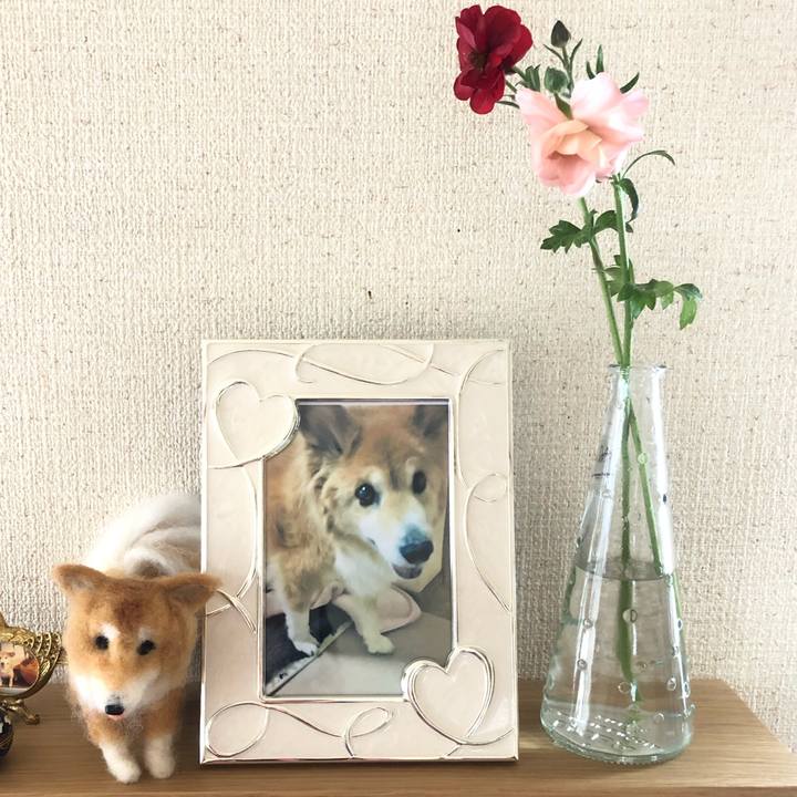 6b753af1 437f 49f7 967d c282c8867853 1554893714817