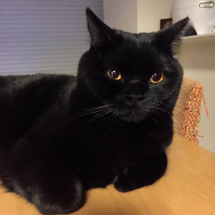 6b756fd3 8bbc 44d0 86ee a3dfe399500d 1521118155488