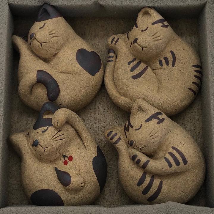 6b759979 dd57 49c5 87c8 1269409fe8eb 1632970896491