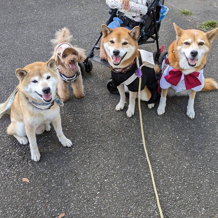 6b75a3dc 56c6 41d8 a5c5 d1403312819b 1695612667594