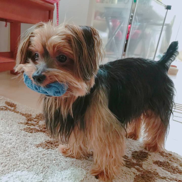 6b75b6bd 2ae7 407d b4dc bbd4ab0bae84 1536969759076