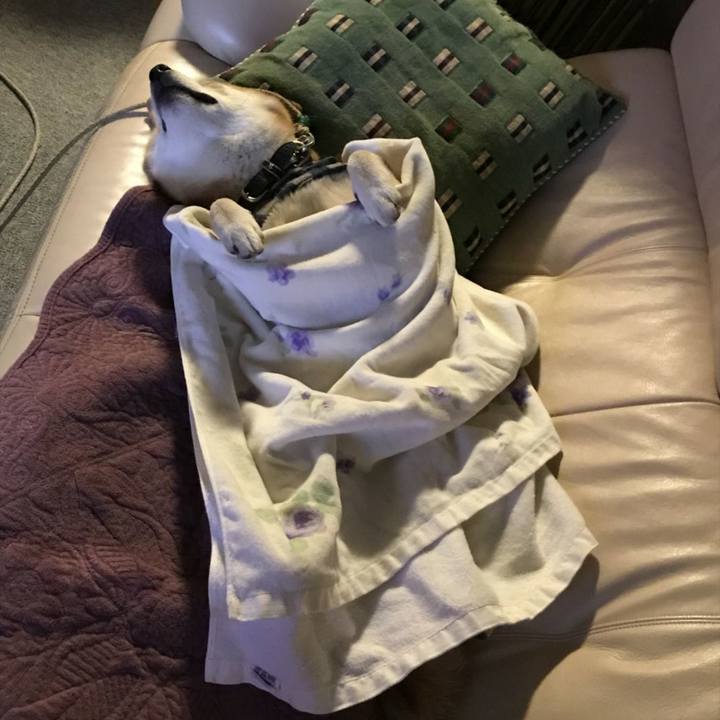 6b75c2f2 4f79 417c 819b bd3d7e489830 1511871224955