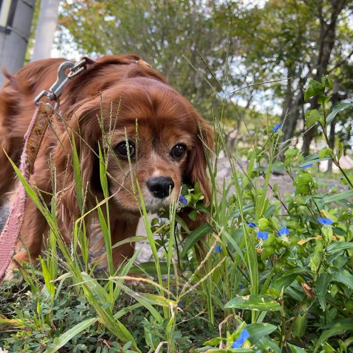 6b75c9f6 1a64 4dec ac39 8fdaa9a53a55 1696721616868