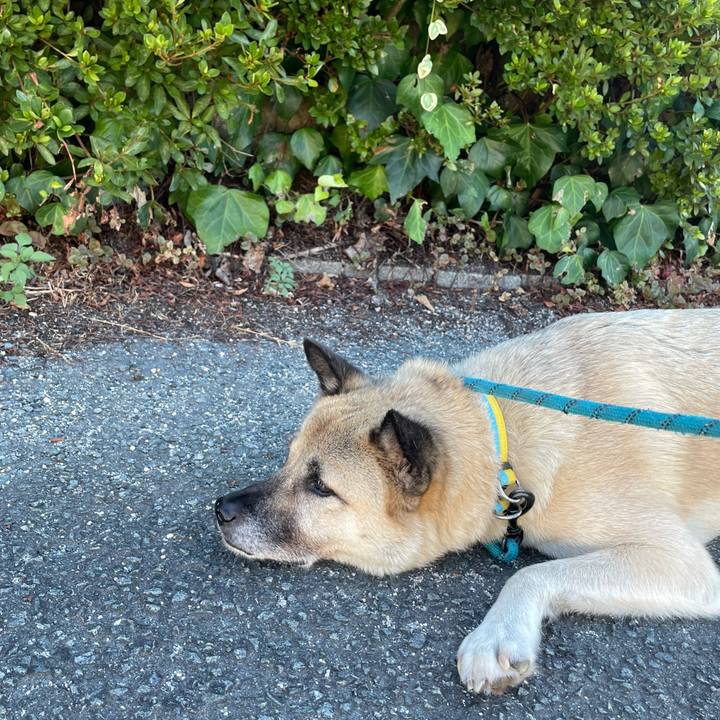 6b75e2de 2830 417e 84c6 50e8cced1689 1692707827263