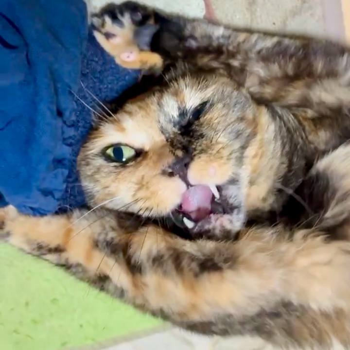 6b75f2fd 9247 4f64 8e45 273a7f016807 1753389112791