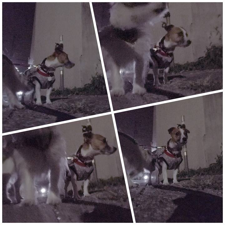 6b764990 314e 40c7 808d e5b6875b187c 1507724405278