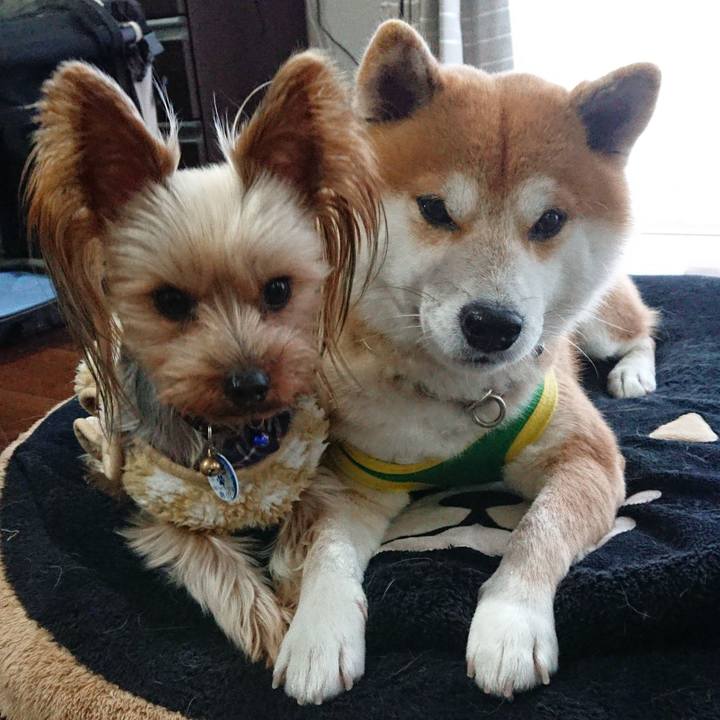 6b766356 7863 4fc7 a369 3ac0e7b33582 1545392376171