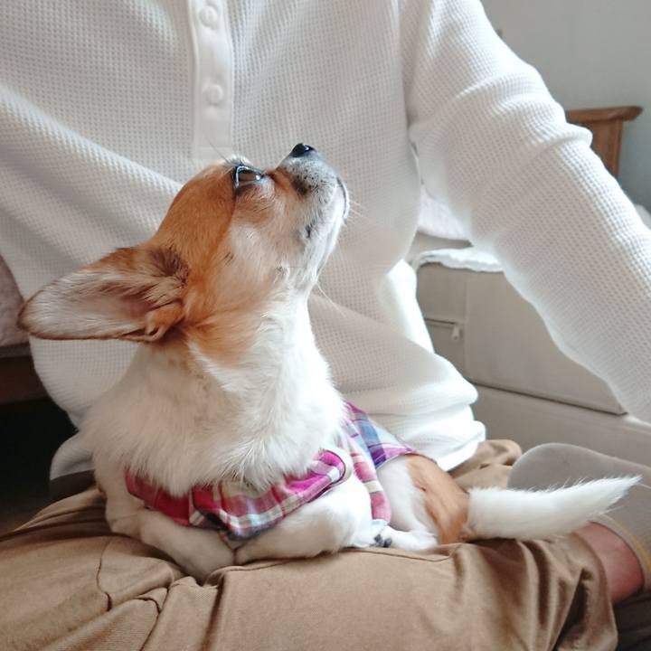 6b766c51 26a9 4b0b bb49 57fae932cdec 1621153186185