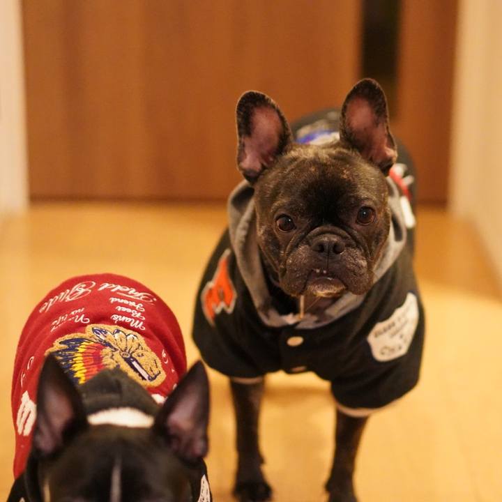 6b766f43 f72d 48aa bda6 027710b40a65 1548323962021