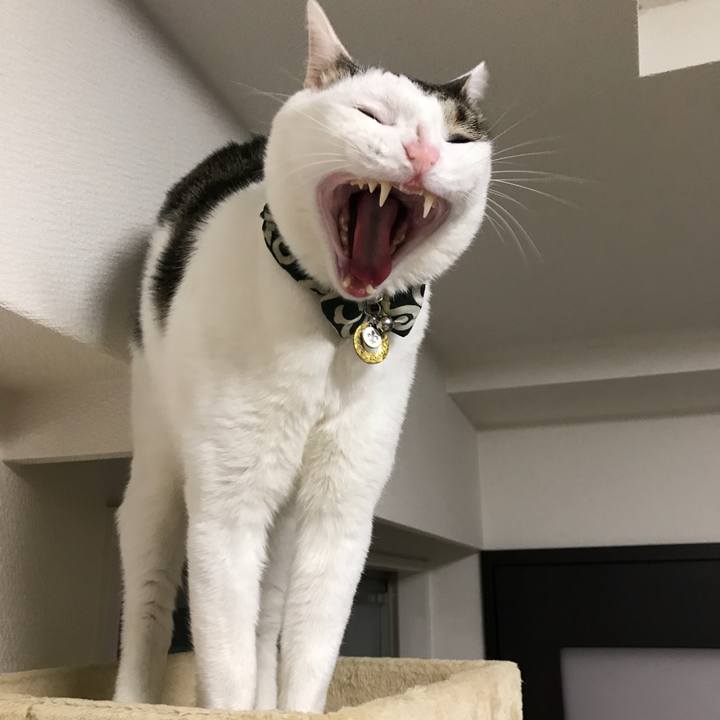 6b769ee9 2995 456a bb83 efce7cf27a73 1516916103761