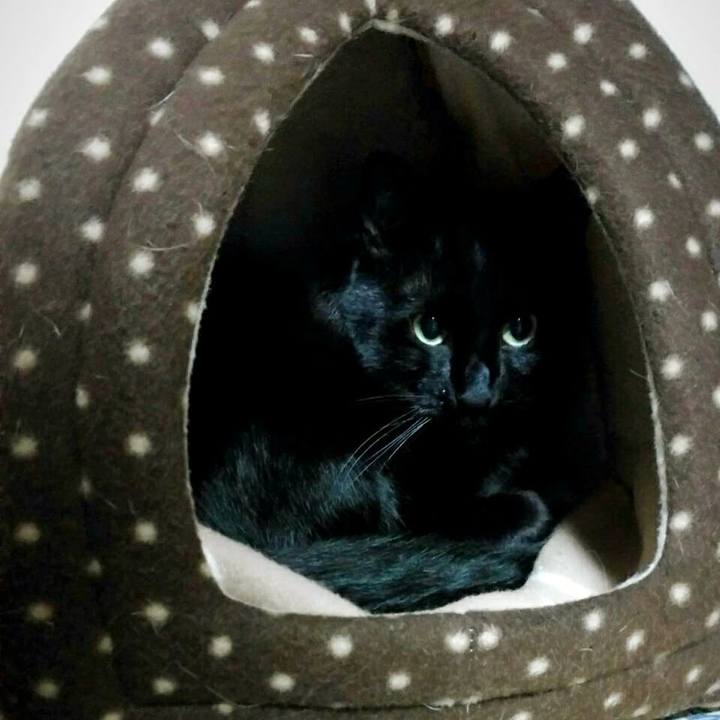 6b76afe1 8d55 4ec1 9bd7 6617ca9adb62 1509628659463