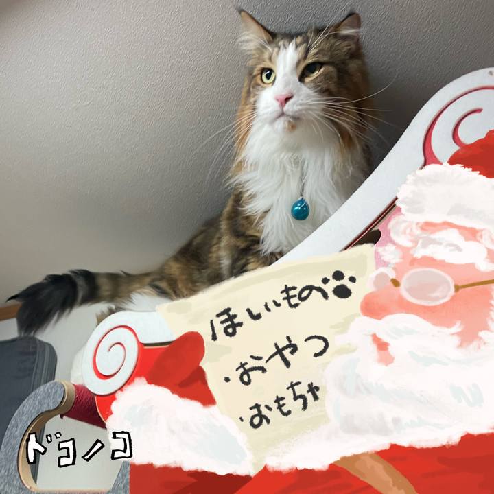 6b76f112 8174 4129 b321 f85b62b9de49 1729626338229