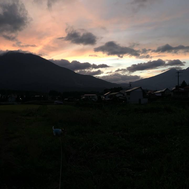 6b771aa8 2d89 4547 99a4 d6d9f0210844 1567684153222