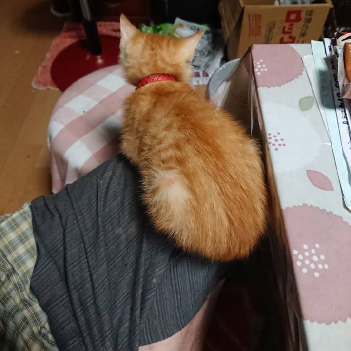 6b7781a6 de5c 424a 89de 1564ec85c61c 1629697454648