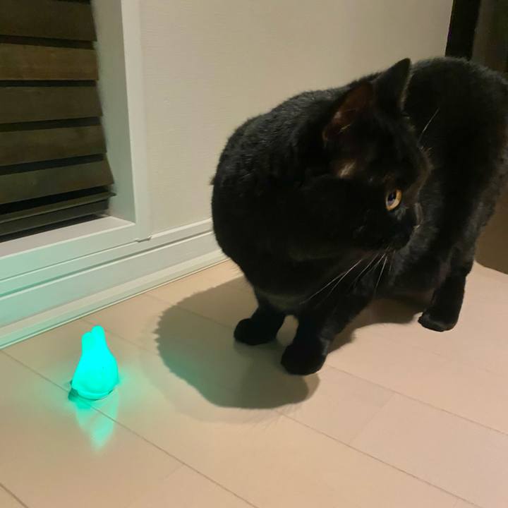 6b7786d3 d88a 40bf 94b2 589bd63cf98a 1711718471328