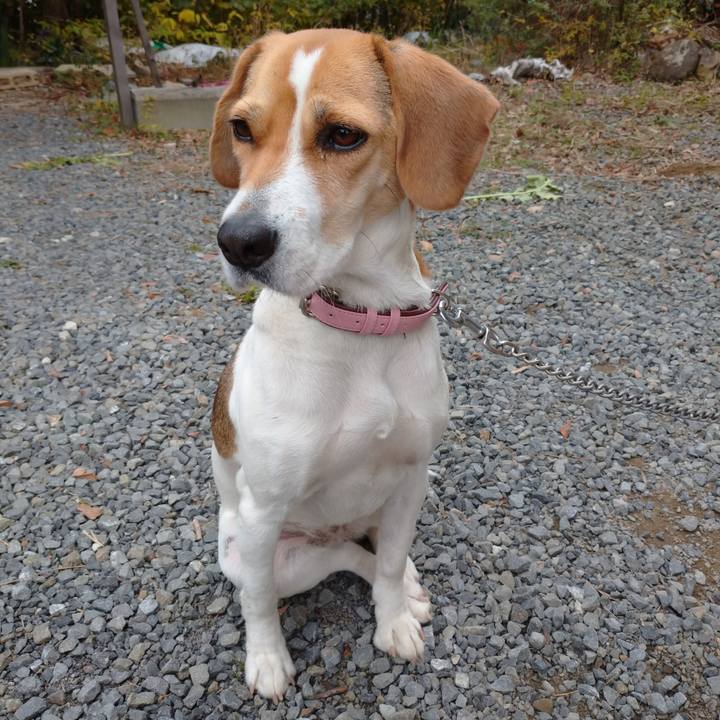 6b77cc1d 5100 4f9a 9eec 1f66a17c6df6 1581045979010