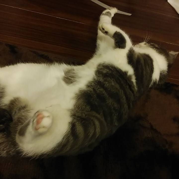 6b7821e5 f695 4074 a17e 6f6263265a9f 1576158867419