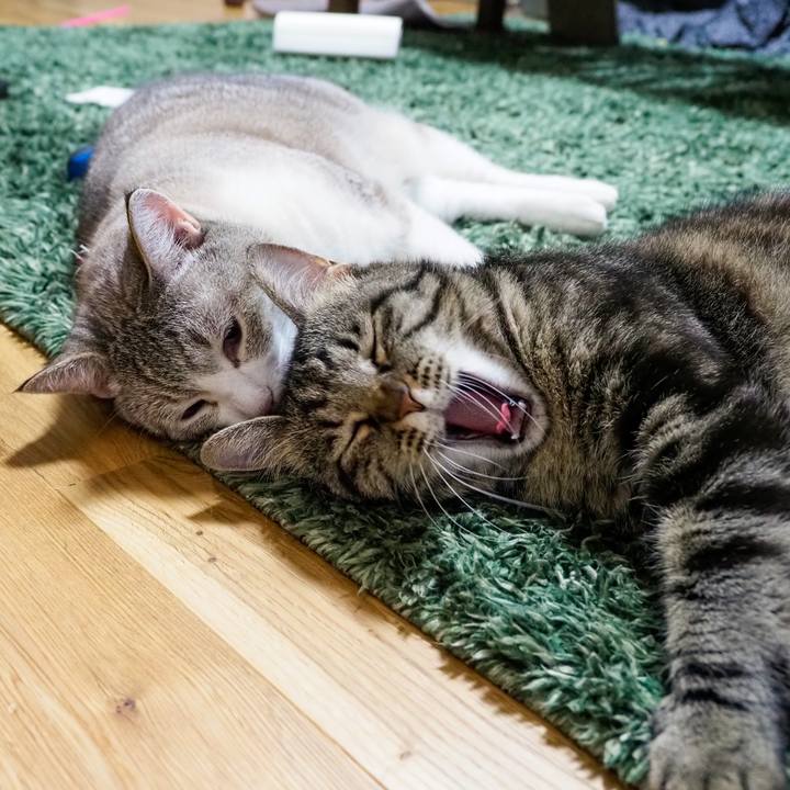 6b784aaa f07e 4ea5 8468 6416fd72abd2 1627443246455