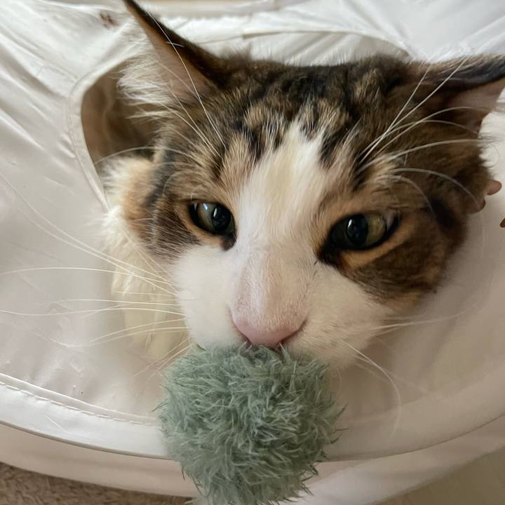 6b786a1d df82 4dd1 b9ad 0cba54a41dcf 1717790530444