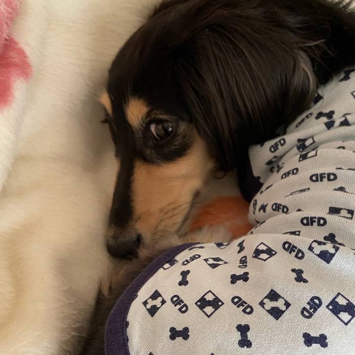 6b788691 7949 4013 953a 05a77eda474b 1733883105592