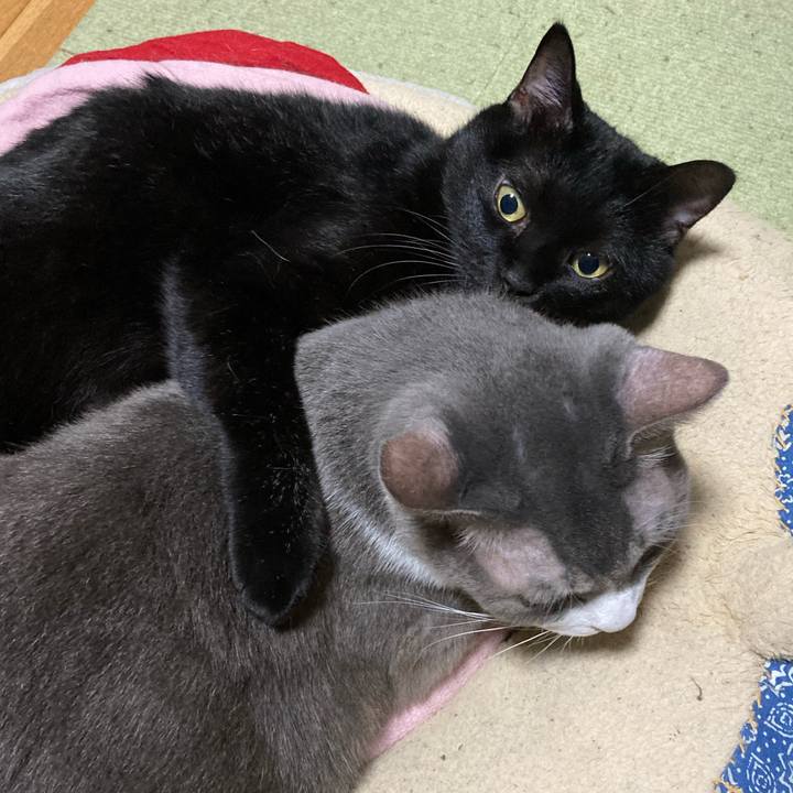 6b789531 2b2a 435a 8049 386f17aed407 1694952989084